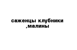 саженцы клубники ,малины